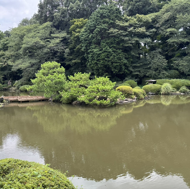 【東京旅行】新宿御苑-庭園寧靜時光与霓虹繁華景