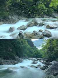 森林秘境,綠野仙蹤,洗肺聖地。