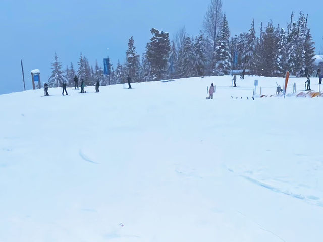 惠斯勒，雪山與小鎮共繪絕美畫卷。