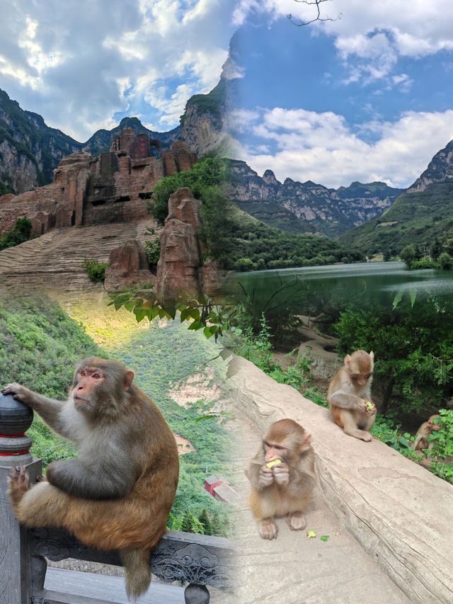 五龍口：自然與靈猴共舞的奇妙之地。