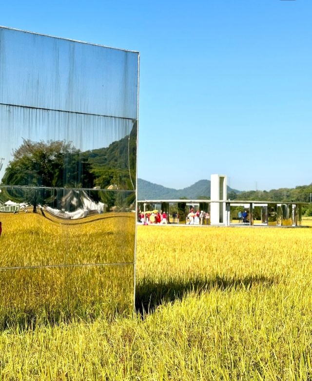 從化艾米稻香小鎮 | 邂逅治癒稻田。