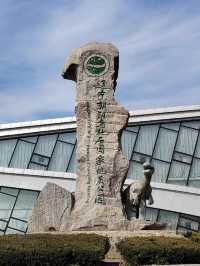 遼寧朝陽鳥化石國家地址公園｜聆聽沉默億萬年的遠古巨響。