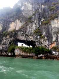 洞海：探索神秘的海底世界。