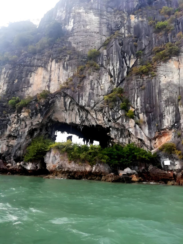 洞海：探索神秘的海底世界。