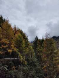 千人奔赴～臥龍川北營參加徒步登山節。