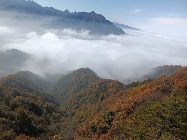 祥峪森林公園。