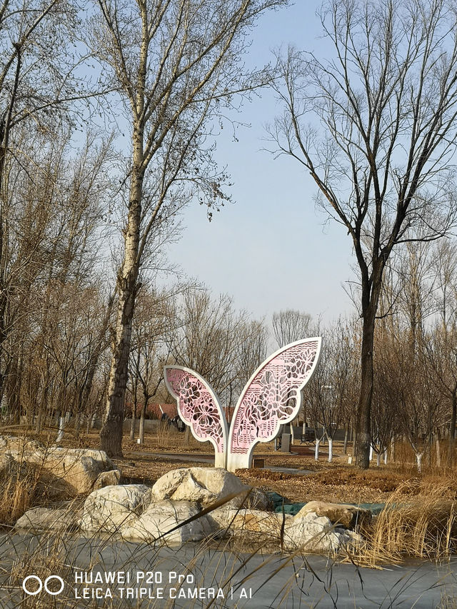 北京遊之四：冬天的世園公園。