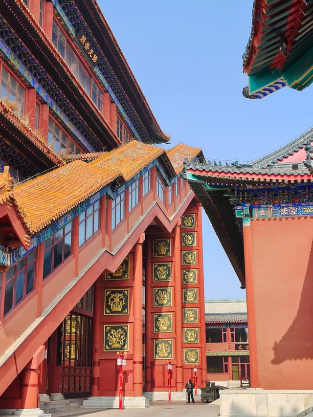 國安第一城。