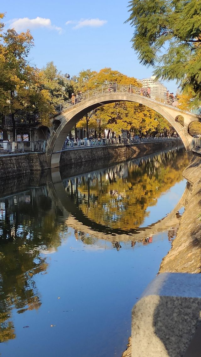 大觀河畔邂逅一座拱橋和一場秋季美景。