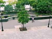 New York: Free Roaming in The City of Freedom