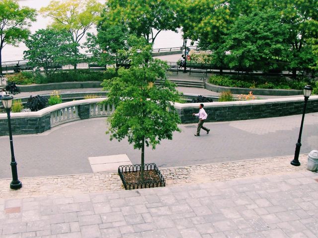 New York: Free Roaming in The City of Freedom