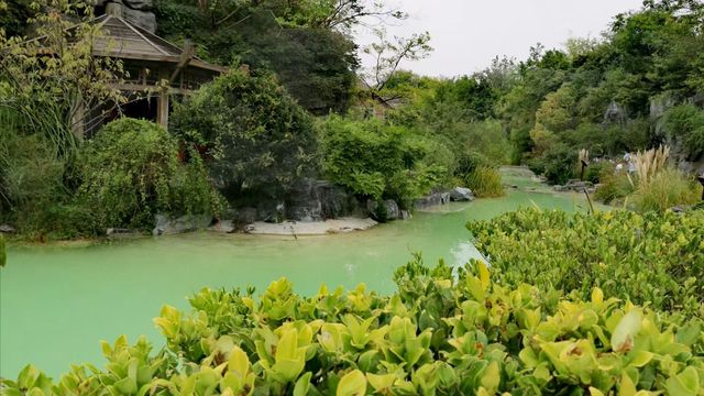 上海小九寨溝~~吳淞炮台灣國家濕地公園。