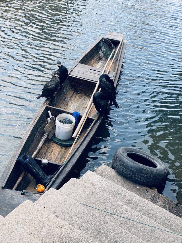 浙江湖州·南潯古鎮5/5。