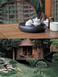潮州周末住進樹林裡看星星。