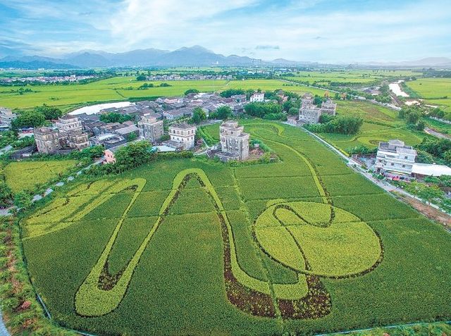 台山市斗山鎮浮月村