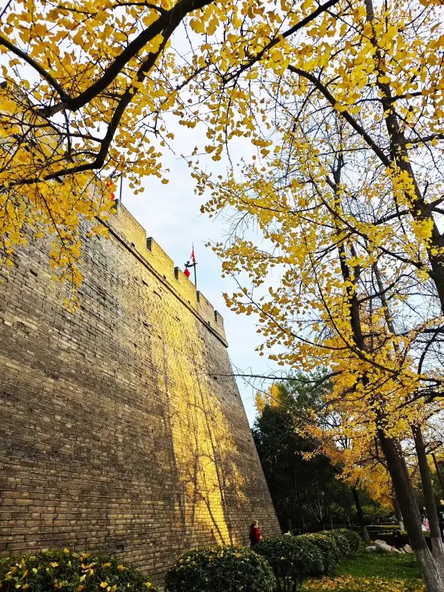 Xi'an City Wall: A Golden Romance