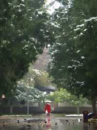 下雪後的地壇，簡直就是中式美學的巅峰
