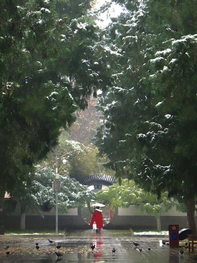 下雪後的地壇，簡直就是中式美學的巅峰