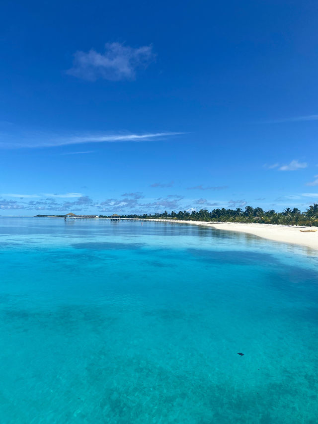 南棕櫚度假村 | South Palm Resort Maldives   酒店：South 