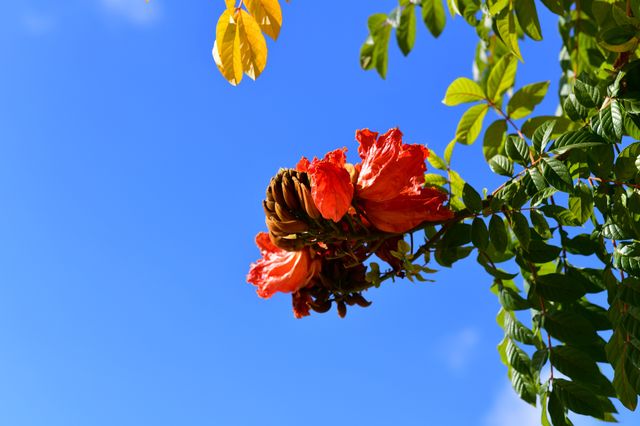 來雲南元謀，享受27℃的冬日暖陽