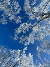 哈爾濱-雪鄉新體驗 邊賞雪邊泡溫泉別錯過