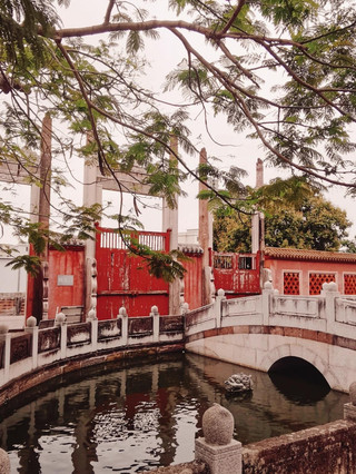 A hidden cultural treasure in Lingnan that you don't know about? 
