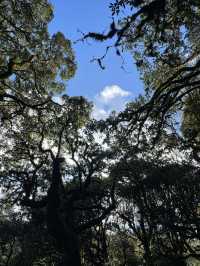 雲南小眾 玉溪新平茶馬古道遊園