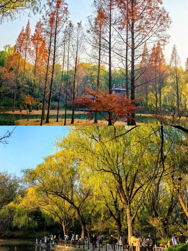 濟南森林公園，小朋友的天堂！！