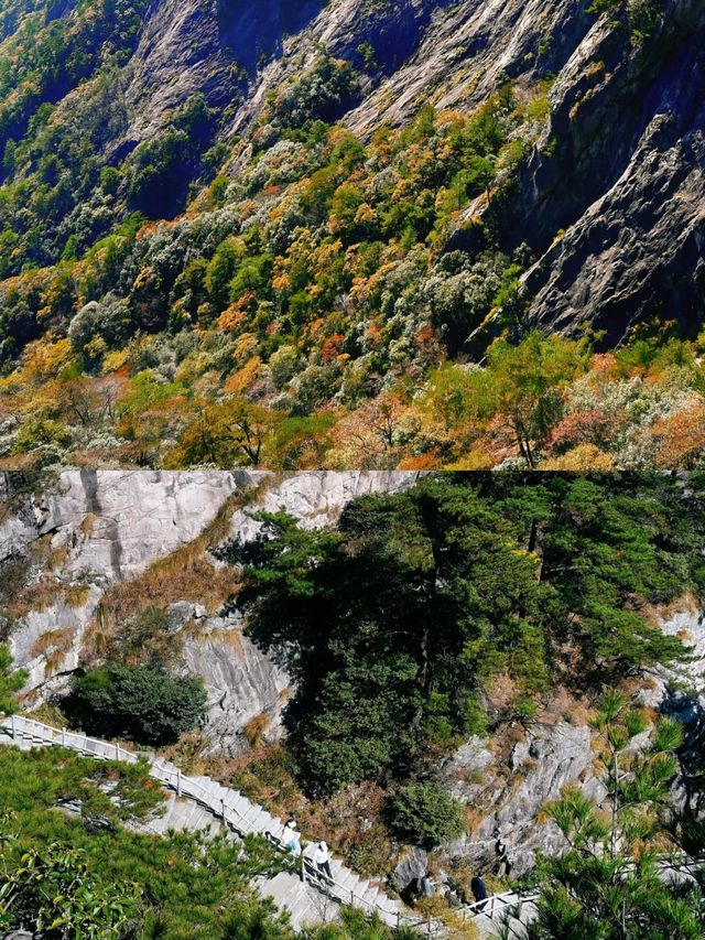 安徽人的嘴巴真的很嚴！冷門又震撼的小眾仙山！