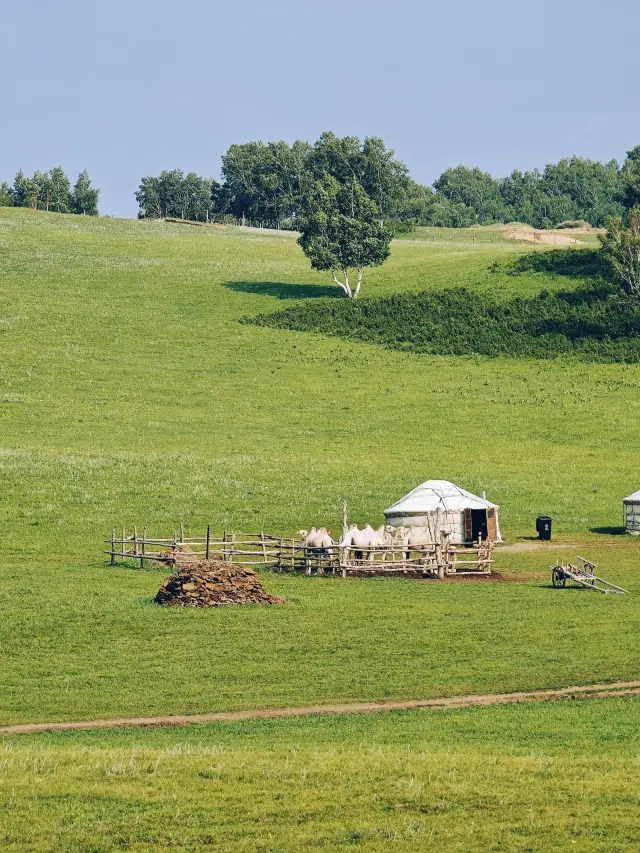 2-Day Chifeng Skiing Itinerary