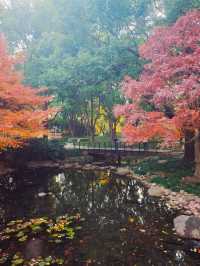 上海的莫奈花園