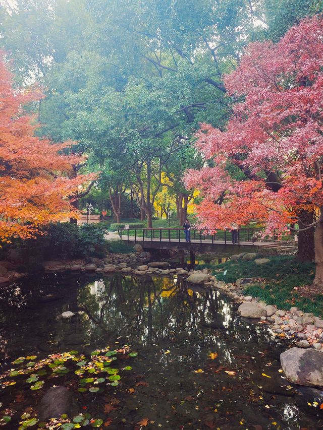 上海的莫奈花園