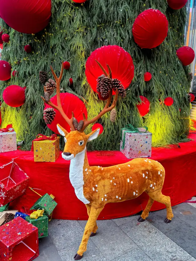Haikou with Kids | This Crooked Christmas Tree is a Hit