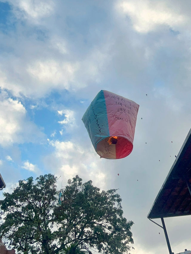 대만에서 소원을 적어 천등을 날려보세요🏮