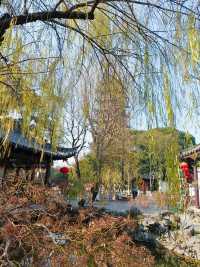 蘇州第三十九園