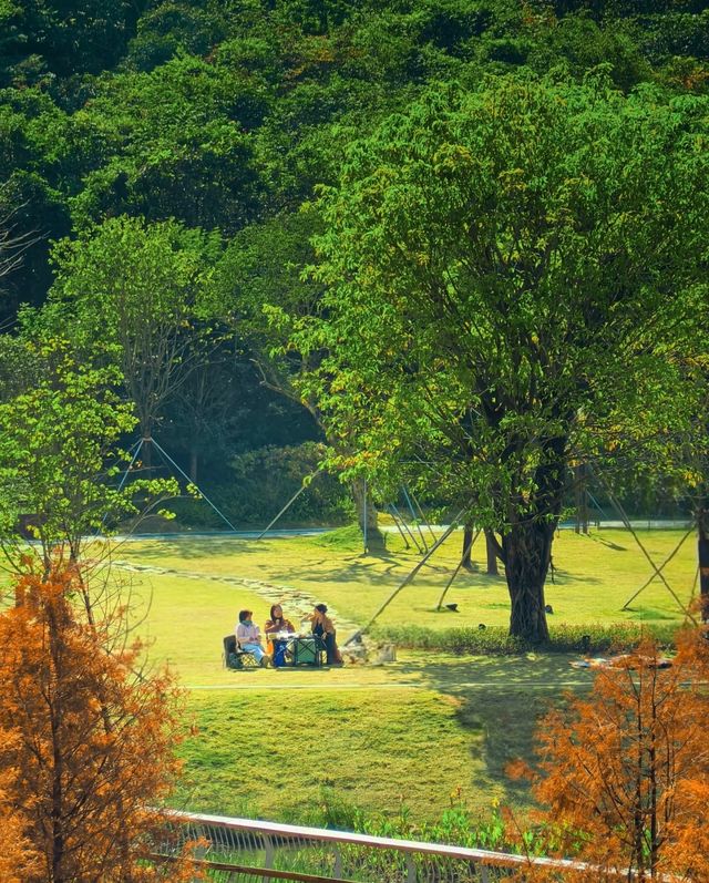 頭陂公園，自然與歡樂的完美融合