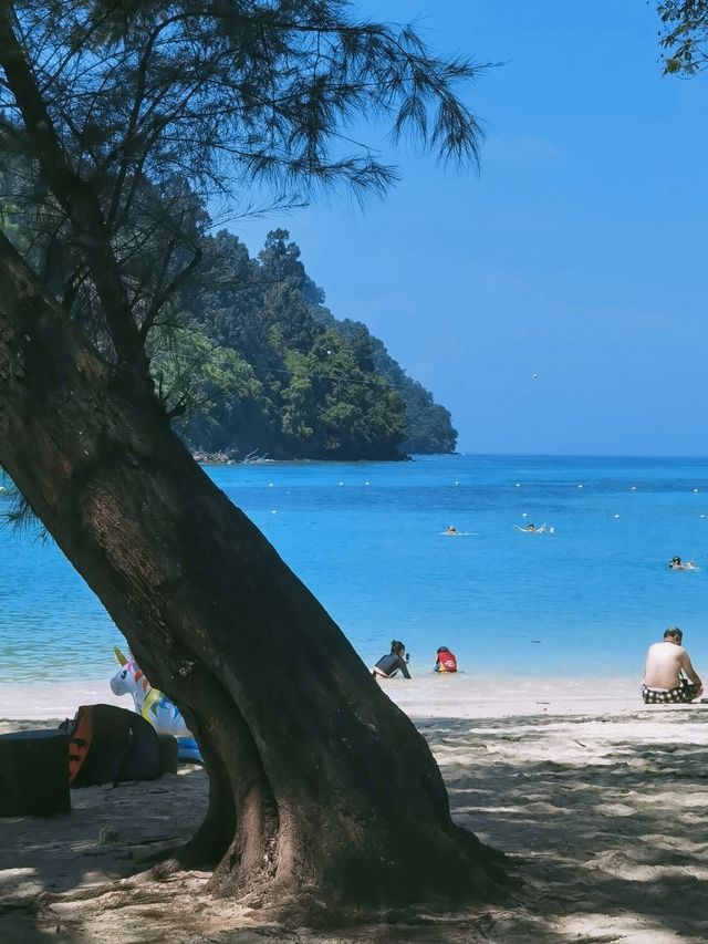 亞庇，藏在沙巴的寶藏旅行地！