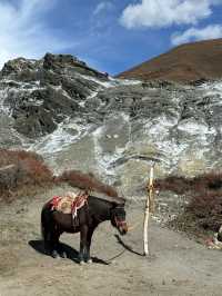 四姑娘山-魚子西老年人遊玩攻略 悠閒不虛行