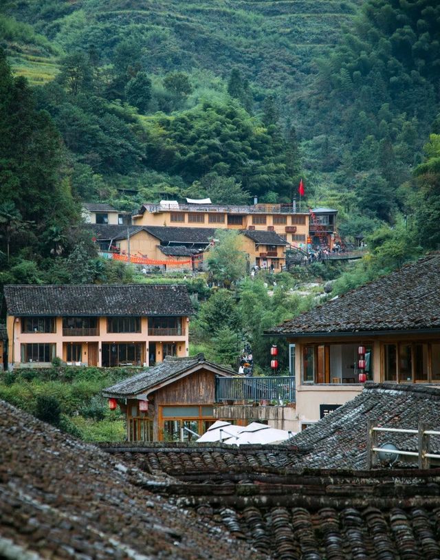 麗水雲和｜這家民宿滿足了我對鄉村生活的全部嚮往