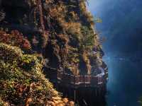 探秘廣元明月峽，尋古棧道歷史韻味