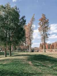 解鎖新年好心情-週末逛濕地公園