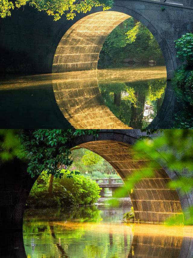 曲院風荷·邂逅四季浪漫的夢境