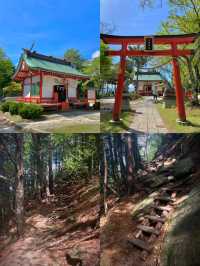 館山市：東京灣畔的悠然詩章