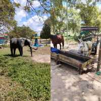 達累斯薩拉姆動物園，與非洲野生動物親密接觸的超讚體驗