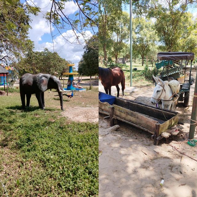 達累斯薩拉姆動物園，與非洲野生動物親密接觸的超讚體驗