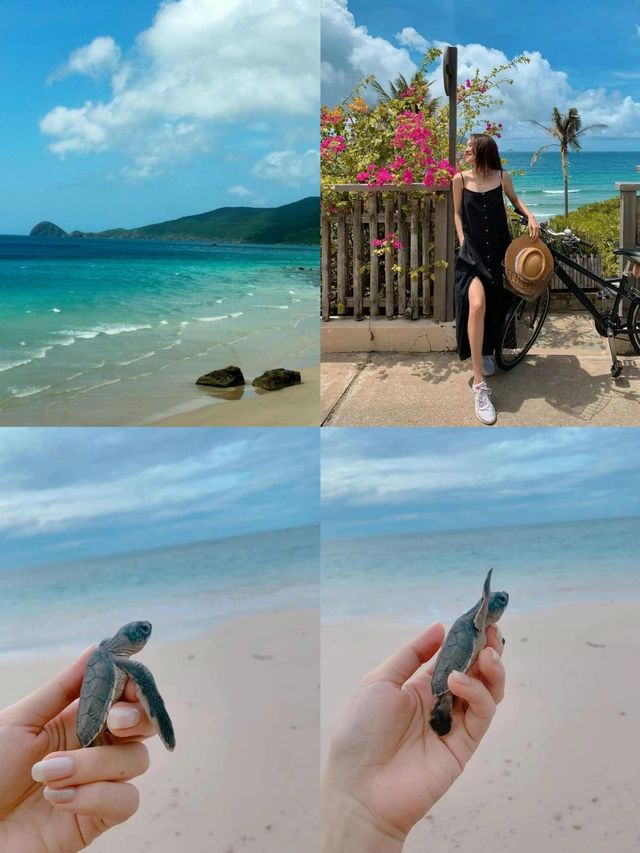 邂逅崑崙島：小眾海島的悠然時光