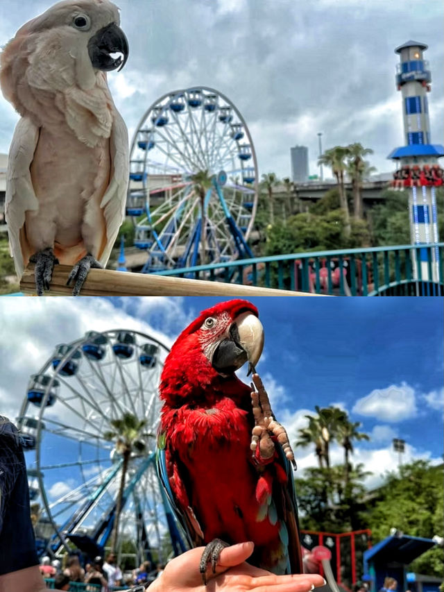 沉浸式體驗休斯頓DOWNTOWN水族館