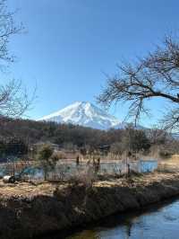 寒假日本遊 8天暢玩攻略