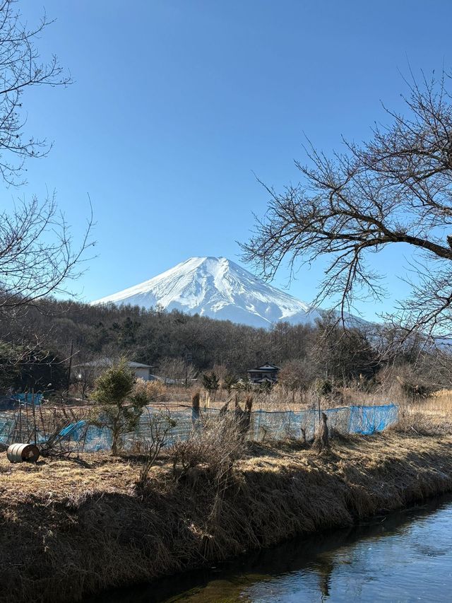 寒假日本遊 8天暢玩攻略