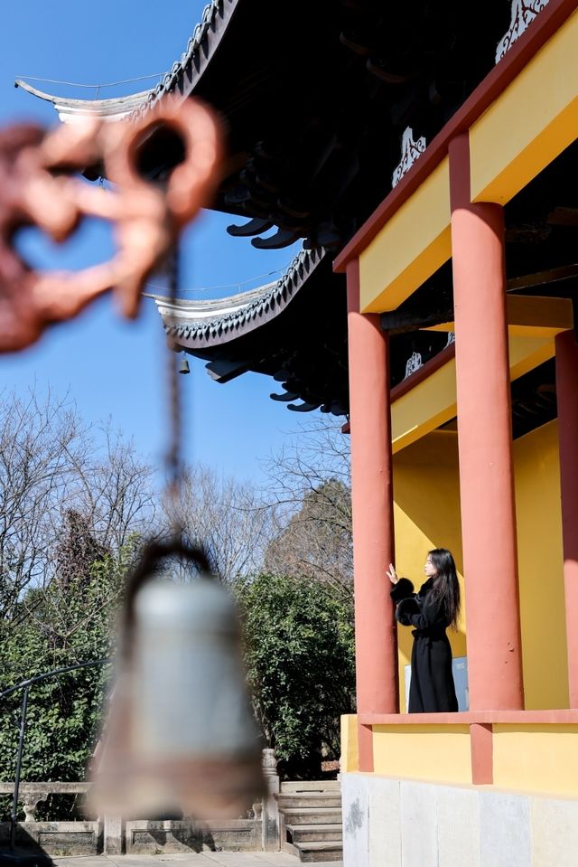 Hi TTfriends，歡迎來到宜興阳羡